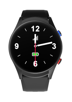 Médaillon de localisation